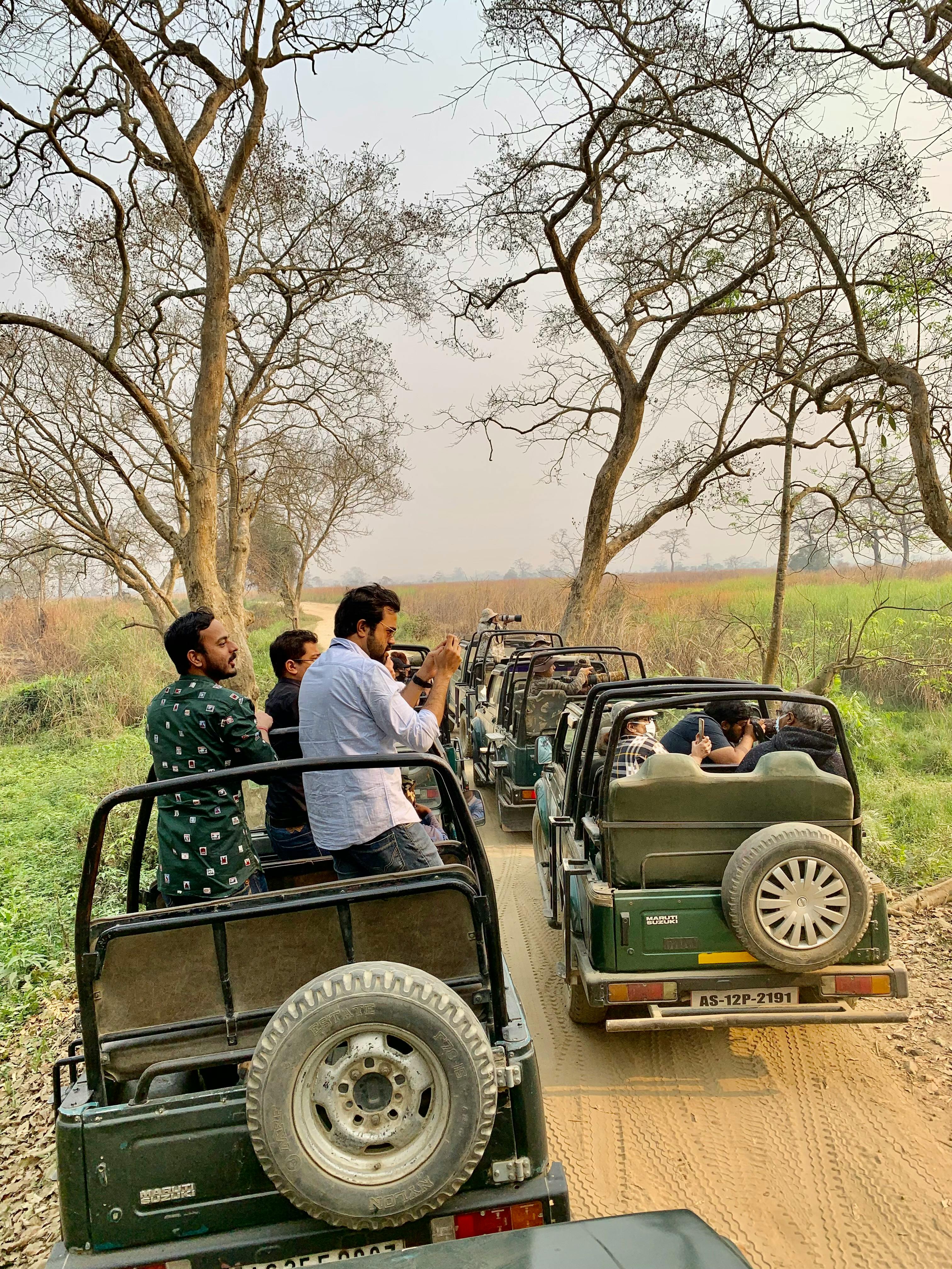 Wildlife Safari Chauffeur Package